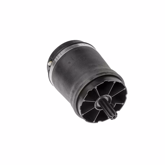 Fabricante chino, proveedor de piezas de automóviles, suspensión neumática, amortiguador de coche para Land Rover Range Rover trasero Rkb 500 082
